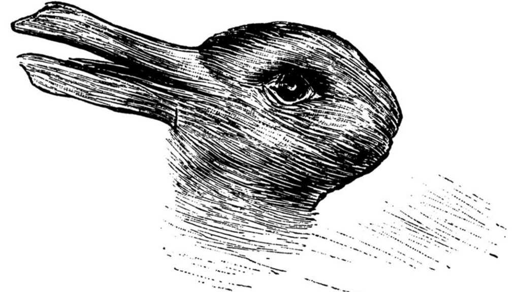 rabbit or duck, art & illusion